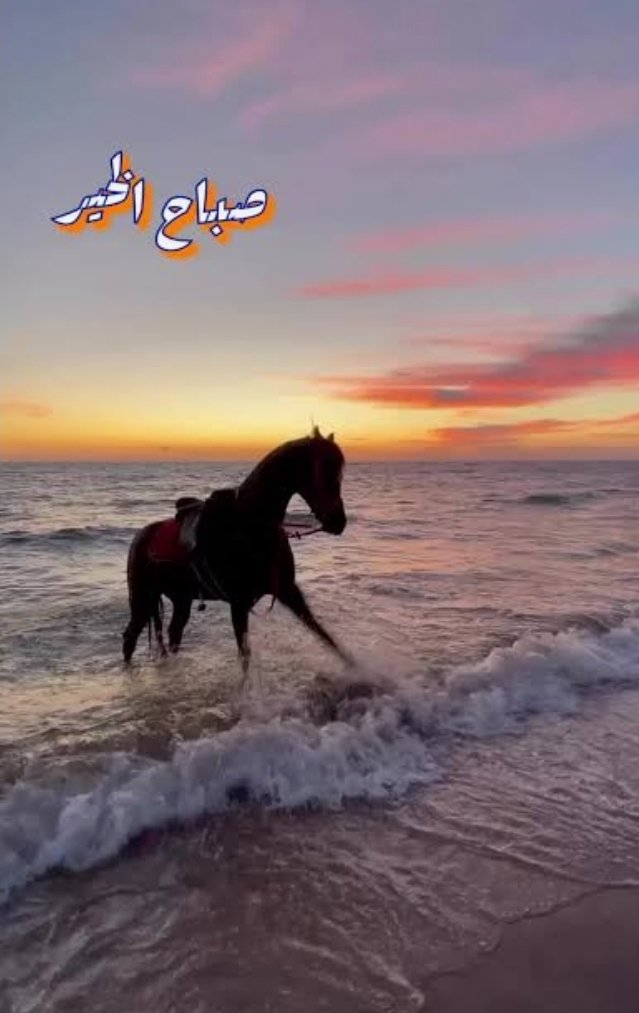 حميد العبري tweet media