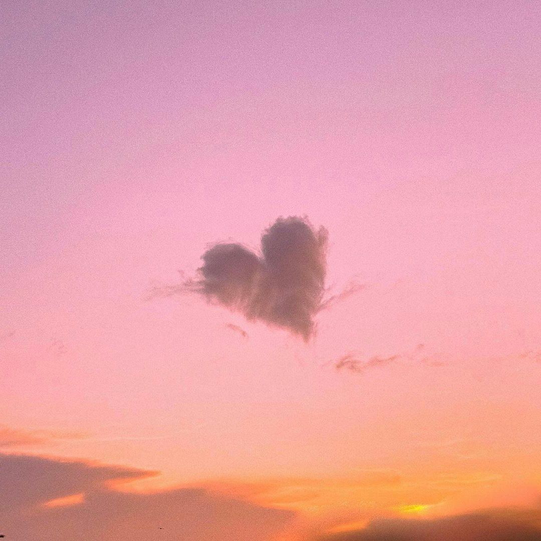 Aesthetics tweet media