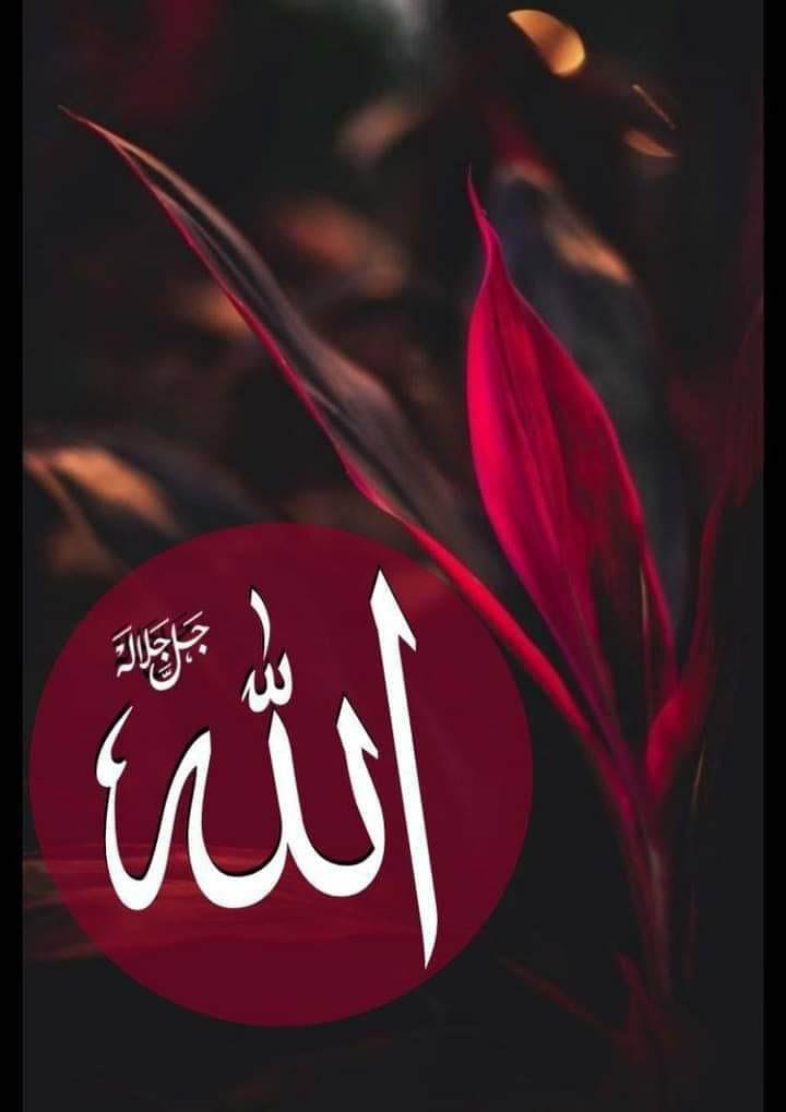 اُمِ حسّان tweet media