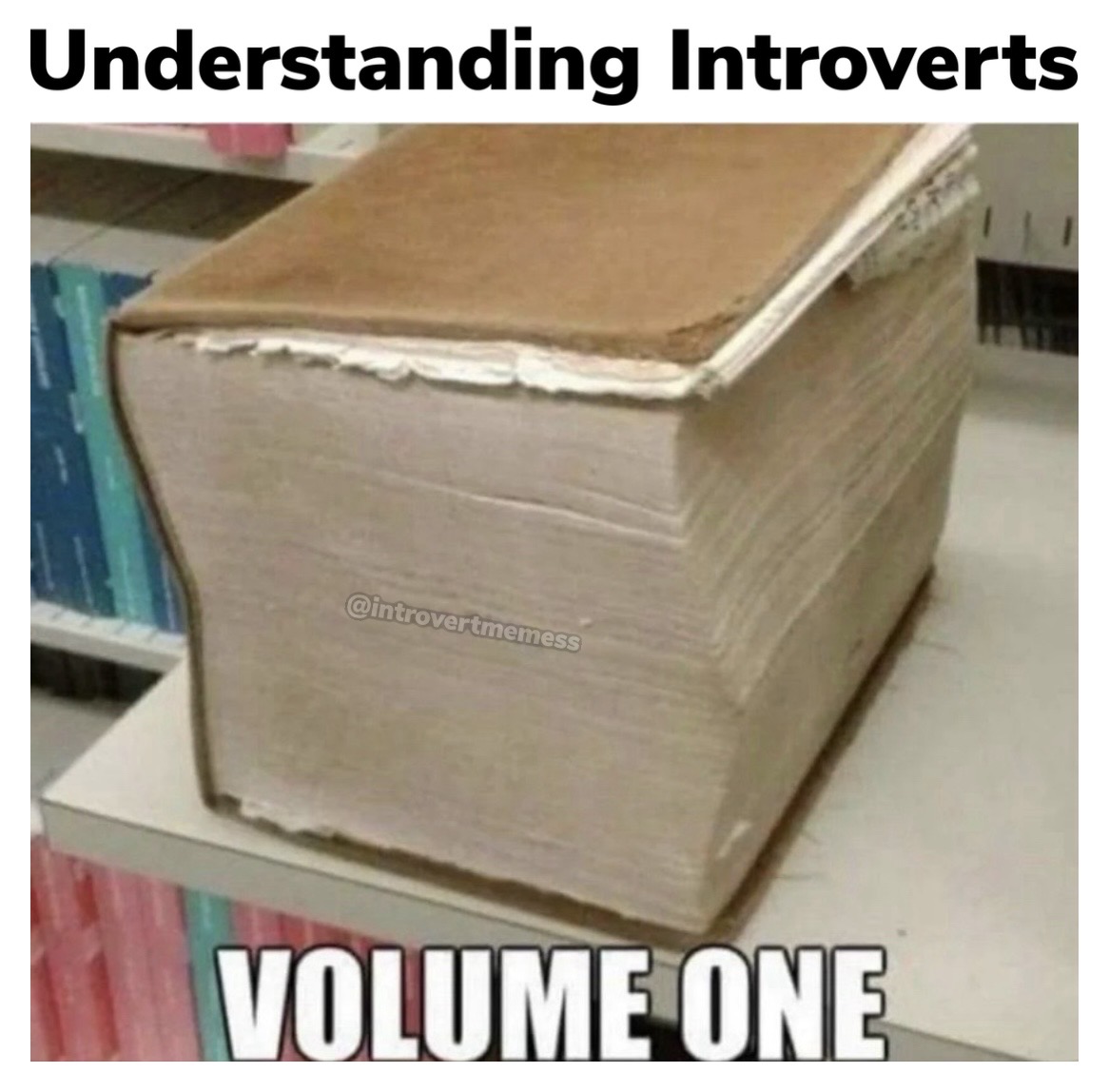 All About Introverts tweet media