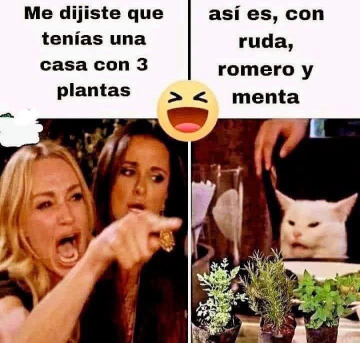 Liliana 💙🦋 tweet media