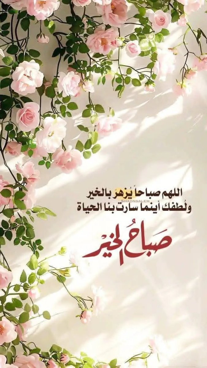 زينب tweet media
