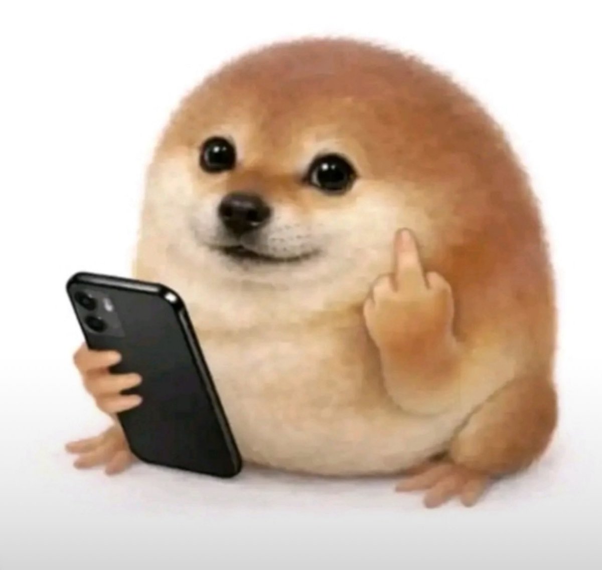 Neso tweet media