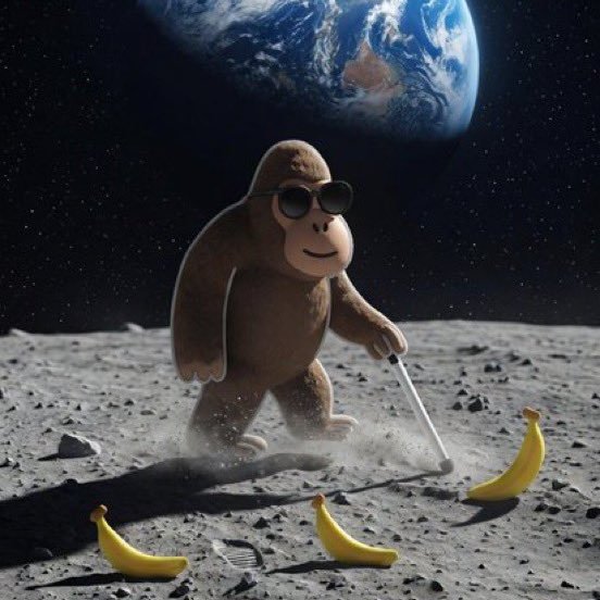 blind ape tweet media