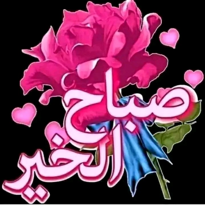 🌹اسسسماء🌹 tweet media