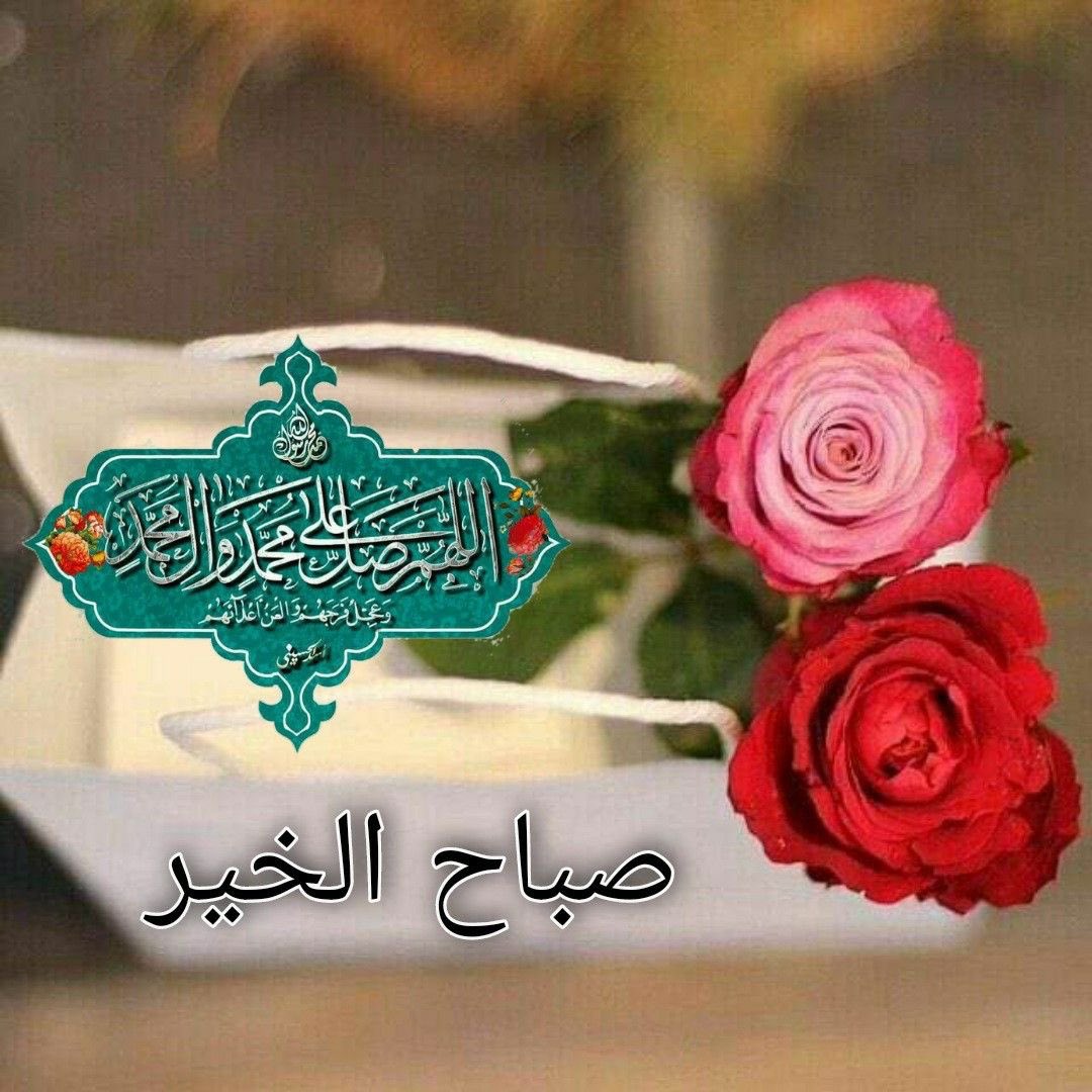 🦋🕊️❤️🇰🇼كويتاويه 🇰🇼 tweet media