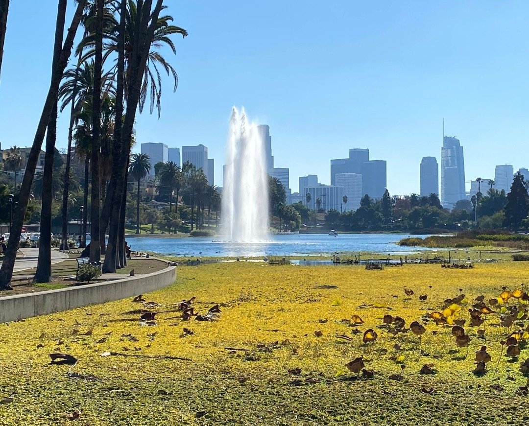 Hannah99baby's tweet image. There’s nothing quite like a sunny day in L.A.! Pedal boats gliding across the lake, a massive fountain soaring toward the azure sky, and the downtown skyline looming in the background... it’s simply magical! 📷
#Echo Park Lake #Have a lovely weekend