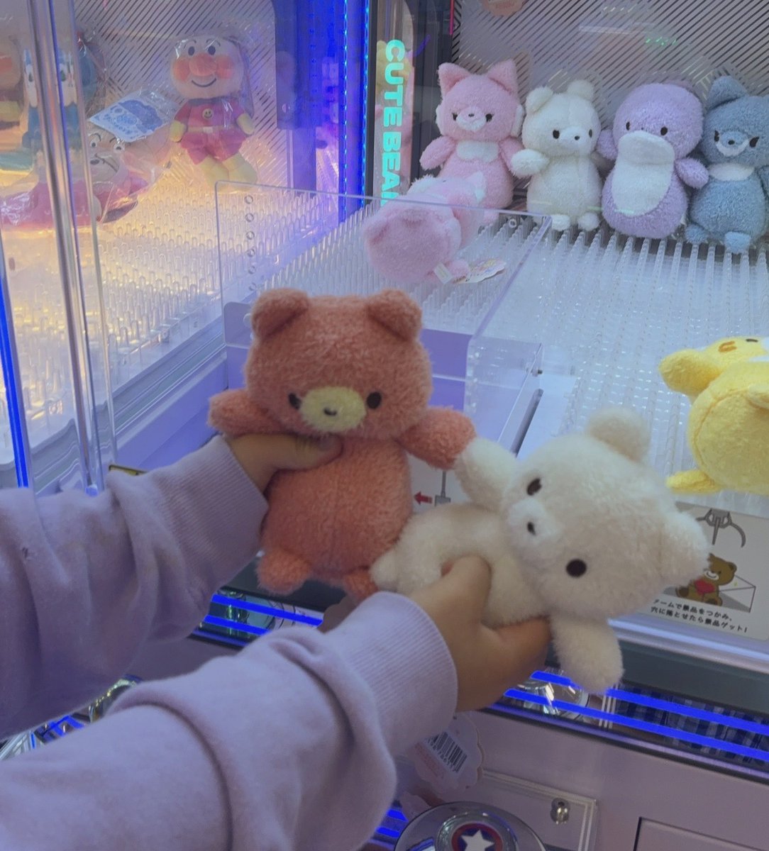 ニッチョ🥼 tweet media