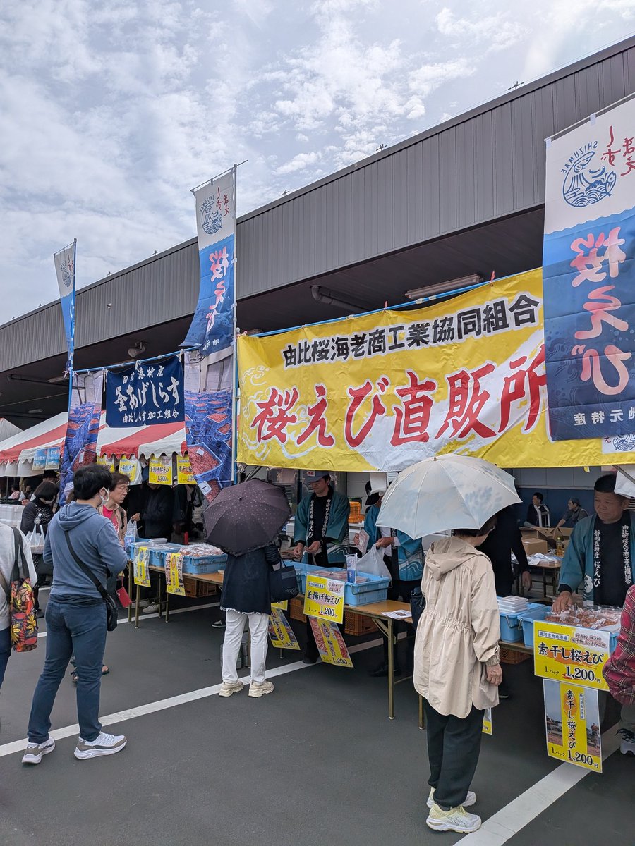 seiun_sky1998's tweet photo. 桜えびまつり〜
天気良くて良かった🦐
お酒飲んで生桜えび大量購入〜 https://t.co/8wx24amTnY