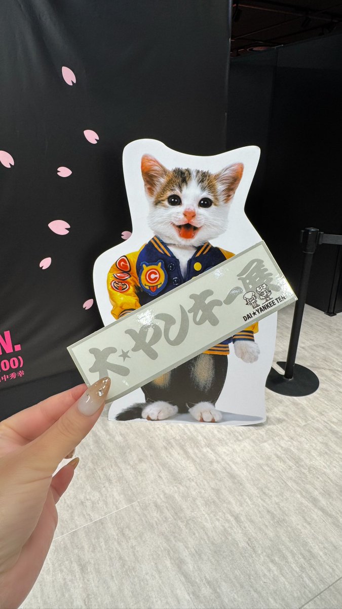 ねこ大好き 猫大好き⠀ ♪⑅💿*◟🫧☆ﾟ