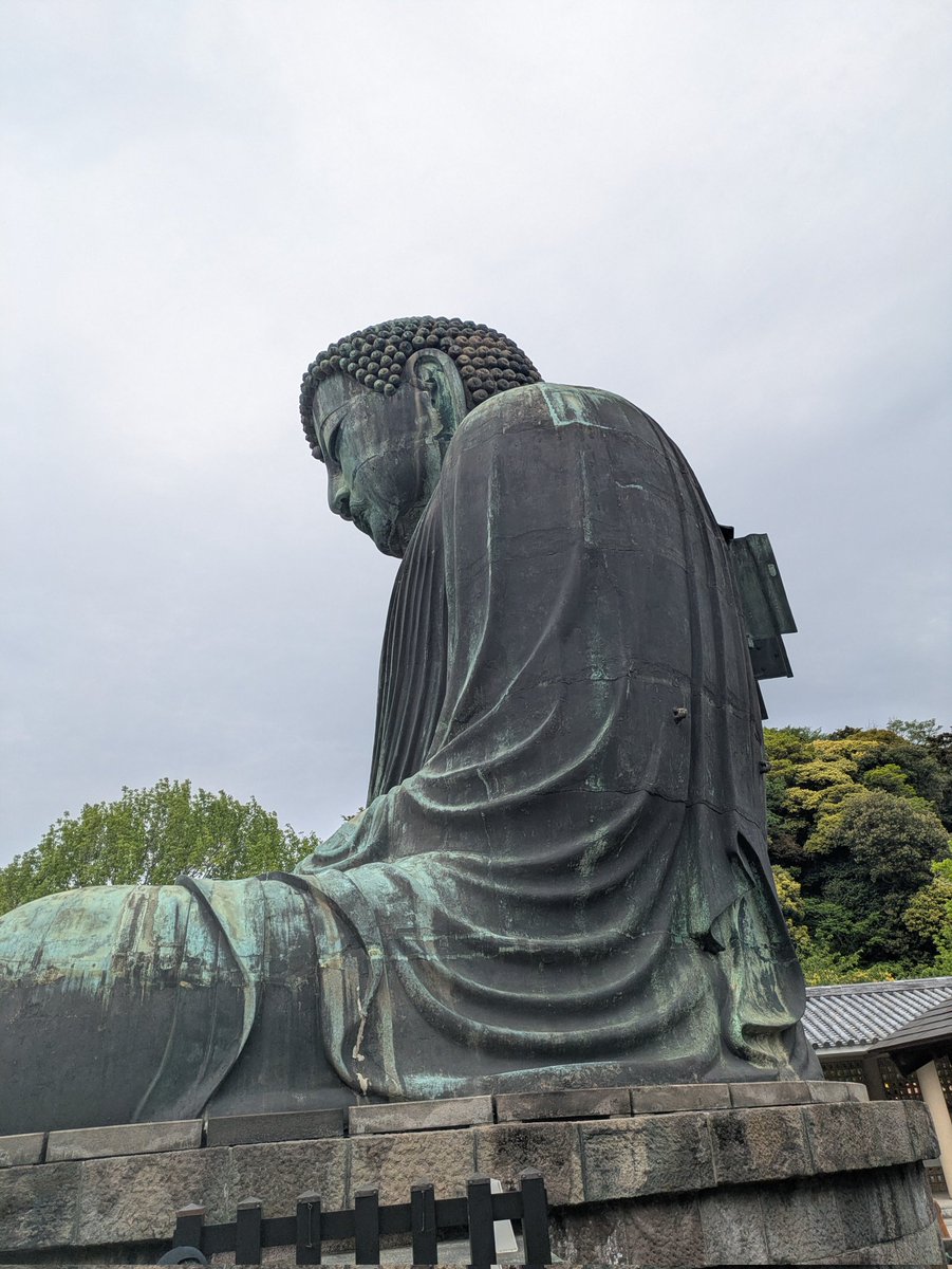 ユラユラ教授 tweet media