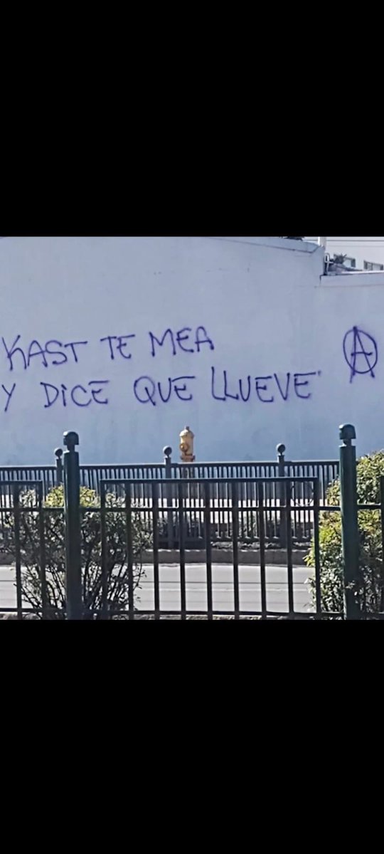 🎬María Eugenia🌳🐾📚🇨🇱 tweet media