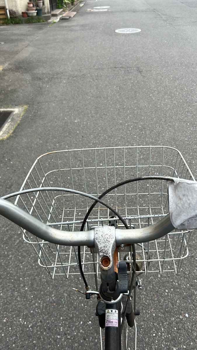 テラチオ tweet media