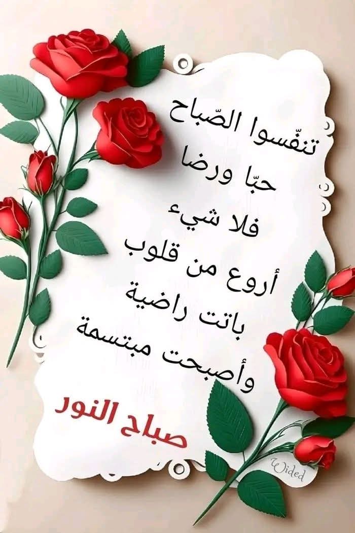 بسام المصرى tweet media