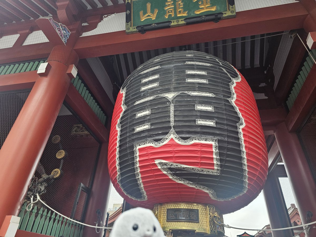 える🦭 tweet media