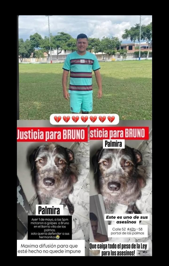 Wilfredo Ramirez tweet media