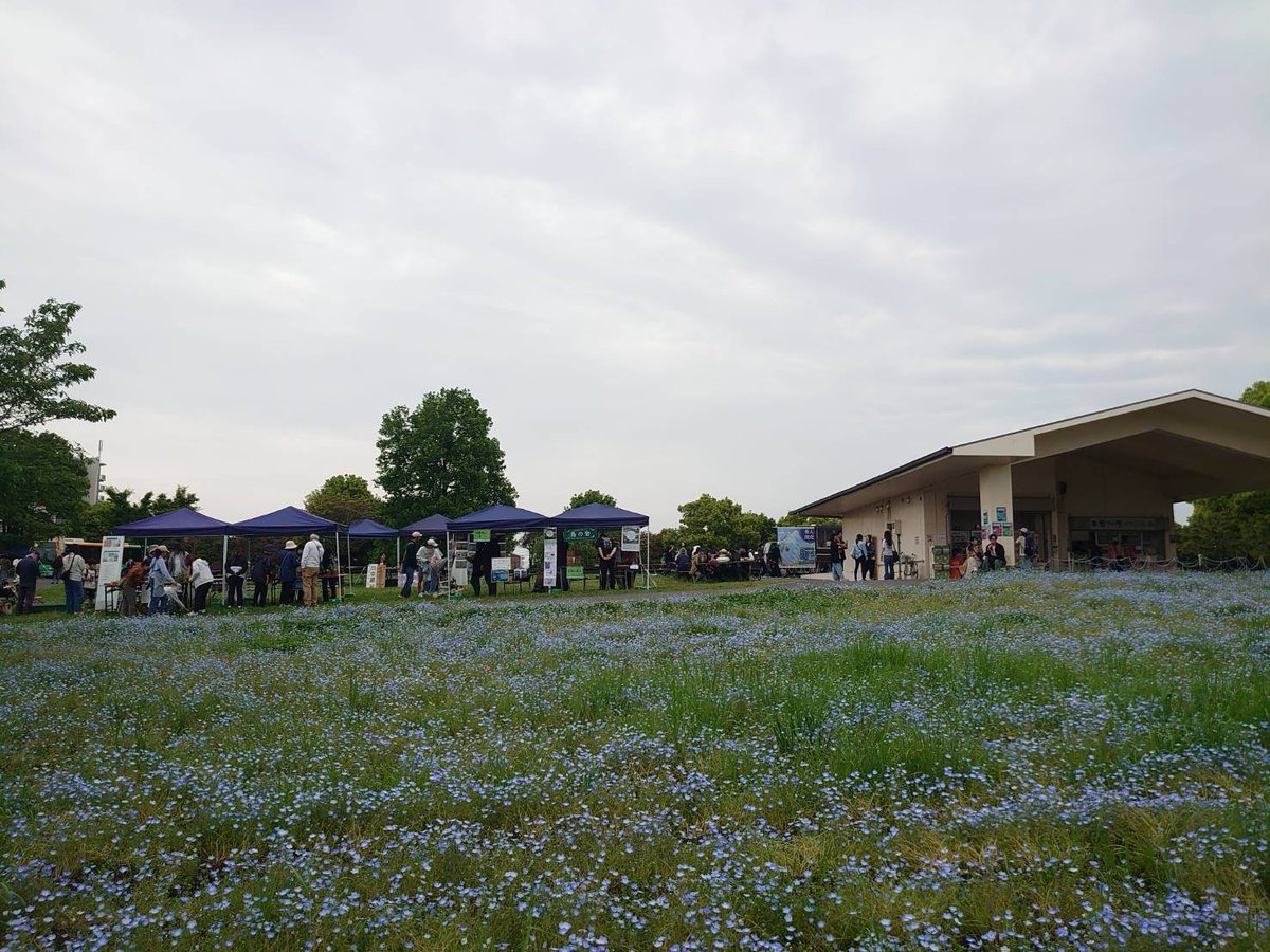 都立舎人公園 tweet media