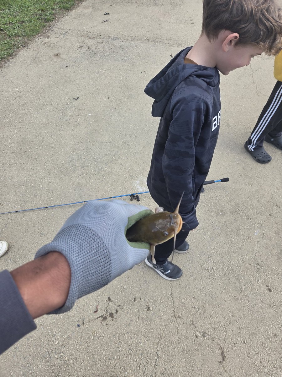 VolsGhost's tweet photo. I was hitting but only babies https://t.co/27ZqzHStQ9