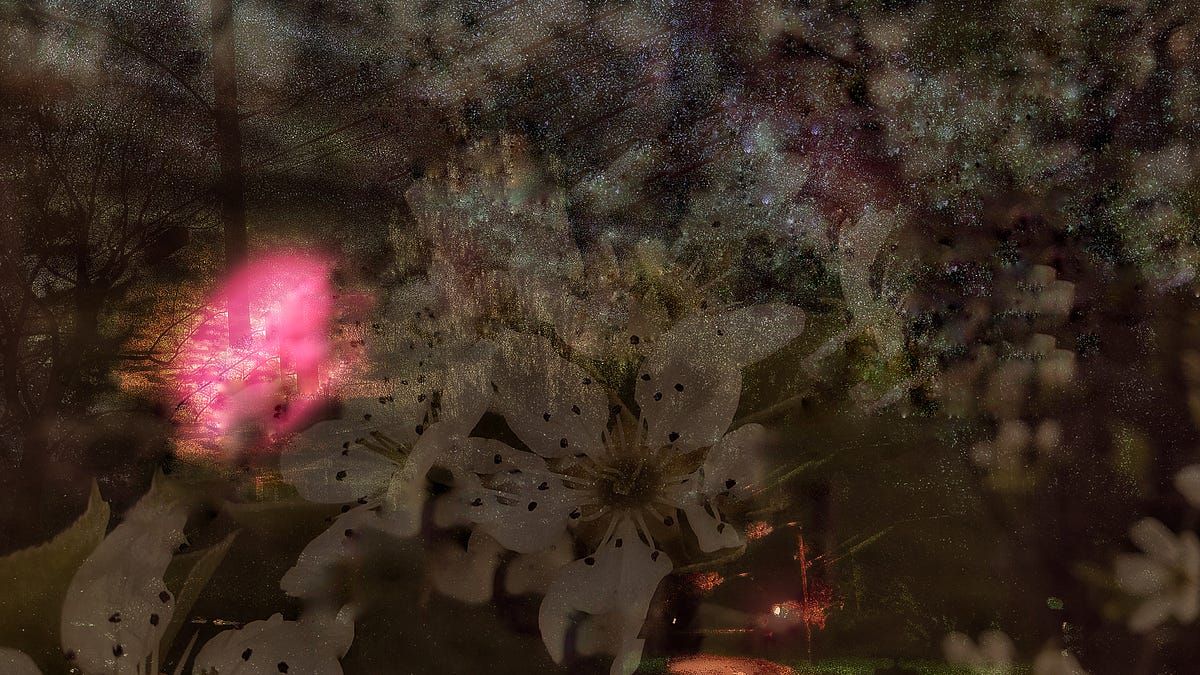lewislacook's tweet image. where the sky rubbed off on you

Paris 1968 lewislacook.substack.com/p/paris-1968

#poetry
#music
#electronic
