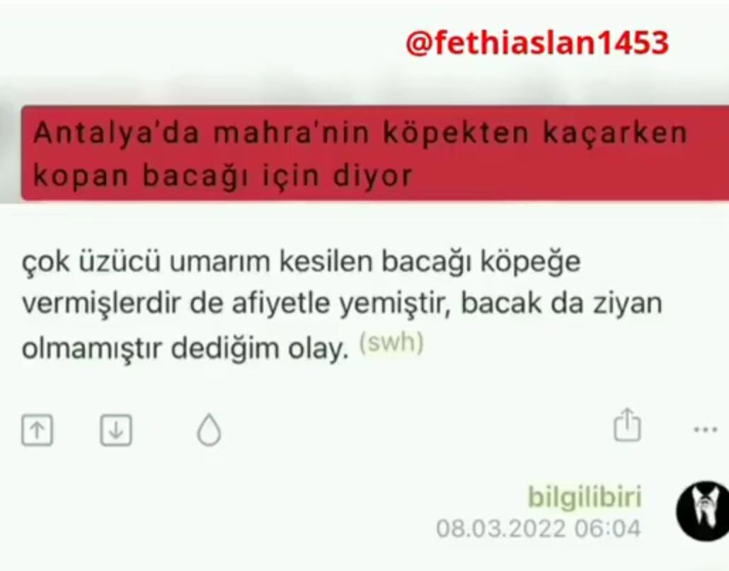 Gamzecimm tweet media