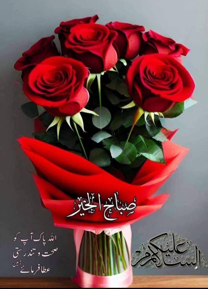 Mustafa Raza Noori tweet media