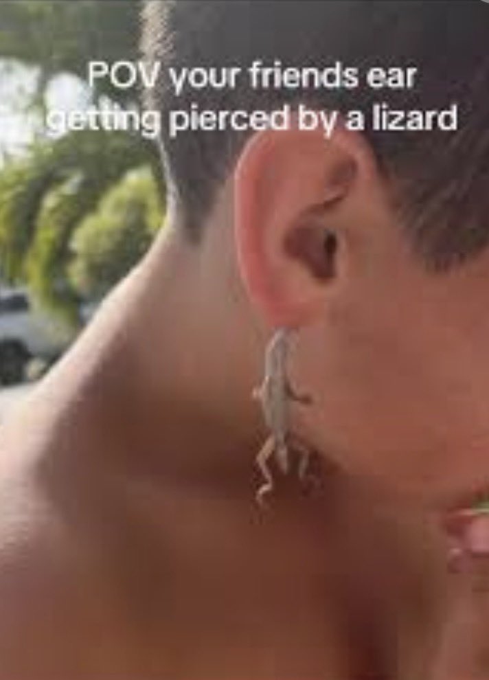 lunna15's tweet photo. ¿Quienes en su infancia vieron o se colocaron en la oreja una lagartija de pantalla? 🦎😂😂 https://t.co/hallosXfHF
