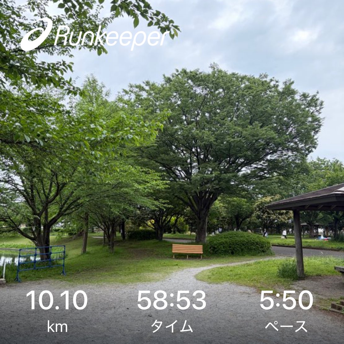 kun_maa's tweet photo. 今朝は日差しもなく涼しくて気持ちよく10km🏃 https://t.co/0B55M9lXBv