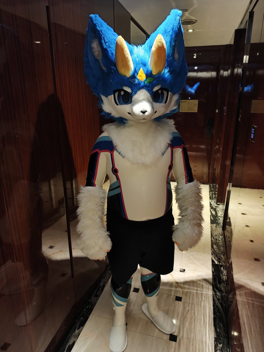 赤贤来啦 tweet media