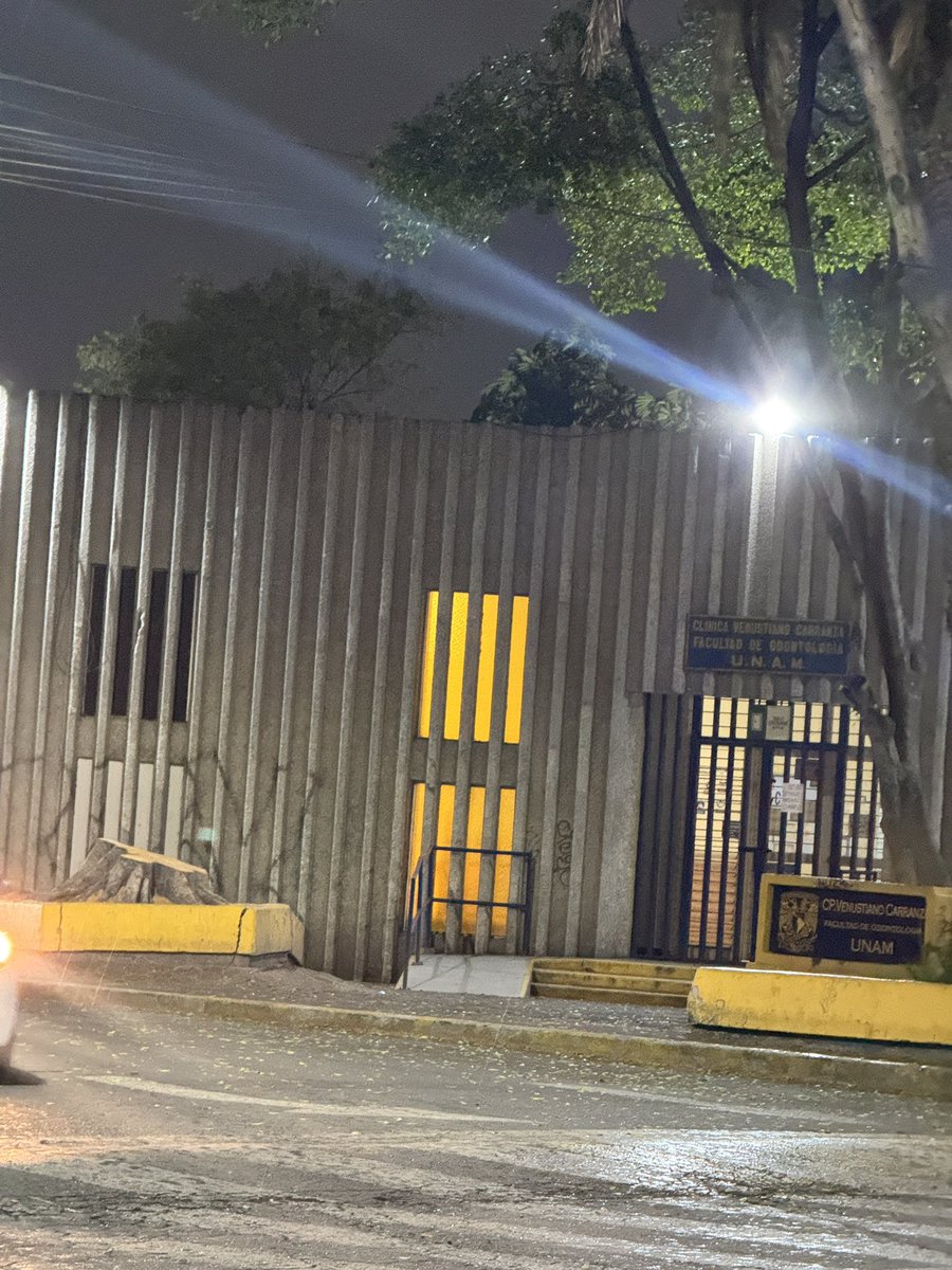 KhSummer's tweet photo. @SEMARNAT_mx @GobiernoMX @GobQuintanaRoo van a a cortar las palmeras y los pájaros ya no tendrán donde llegar, por favor urge revisen este caso, esos árboles tienen más de 35 años ahí https://t.co/fohS4TuQVH