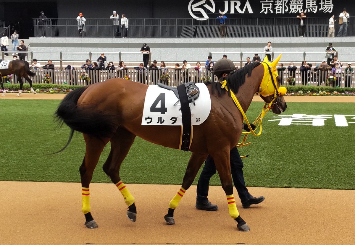 いなさん tweet media