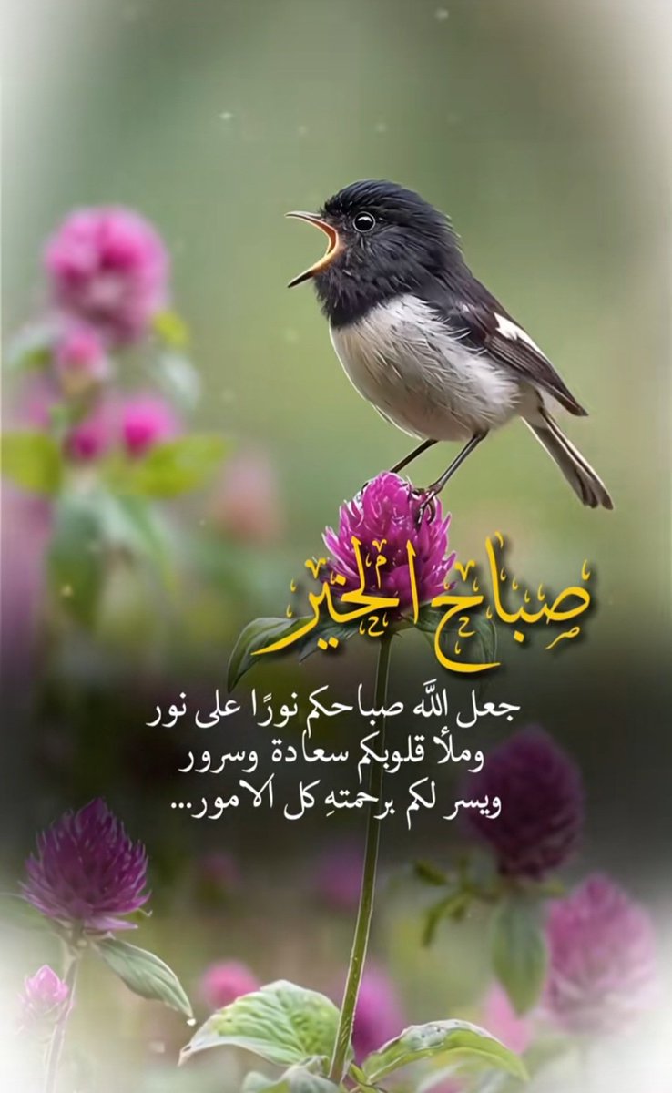 بنت الهنائي❤ tweet media