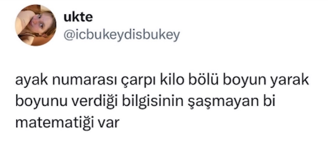 eskimeyen tivitler tweet media