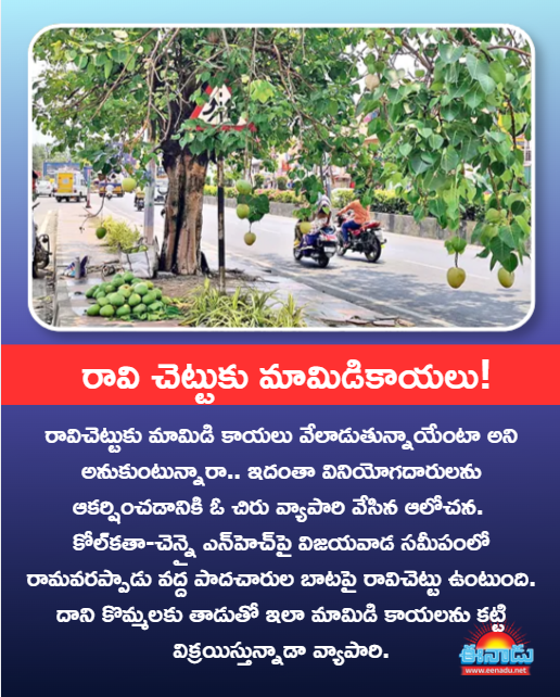 eenadulivenews's tweet image. #eenadu