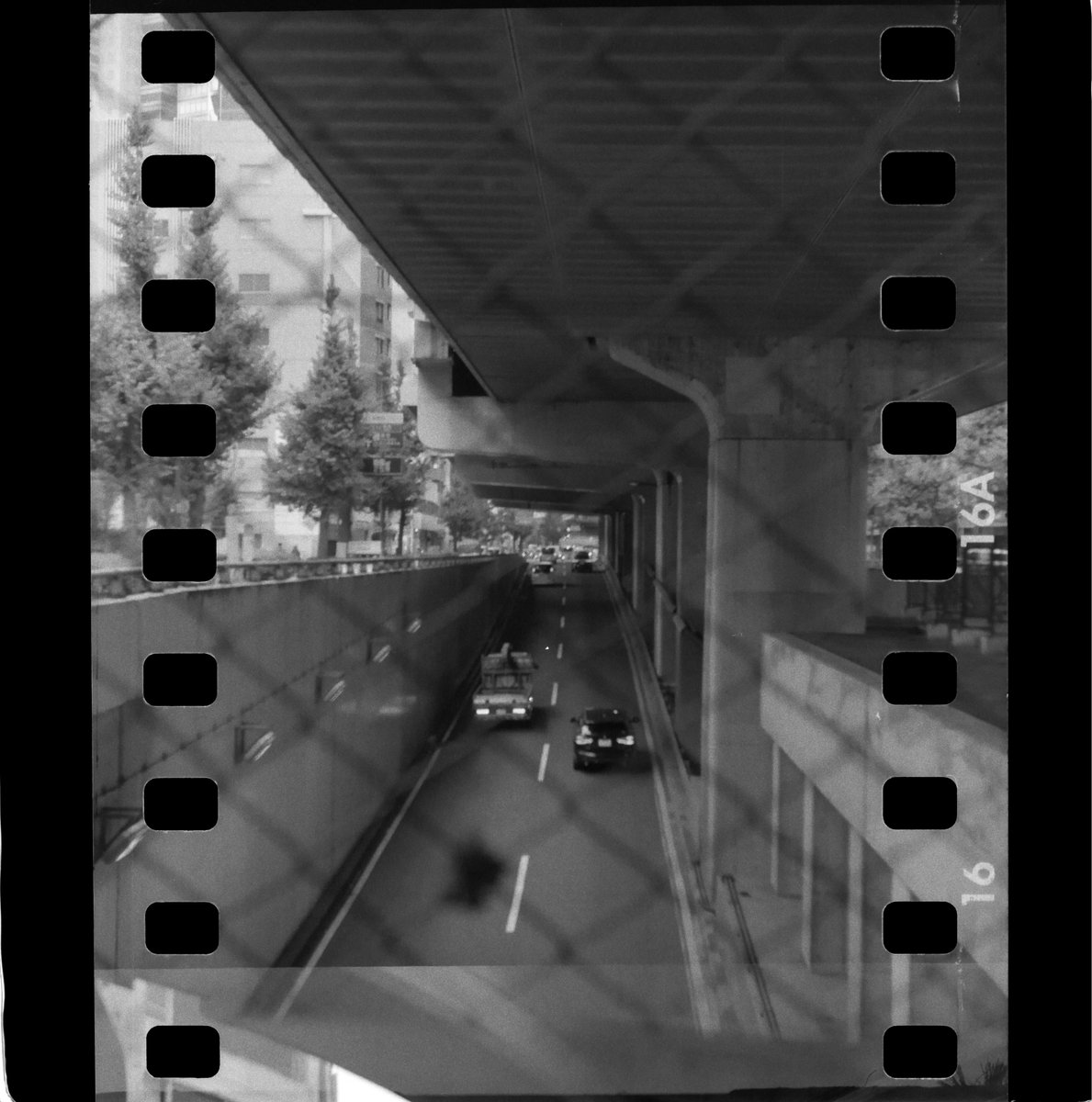 k_photo_tokyo's tweet image. #yashica44 | #filmphotography