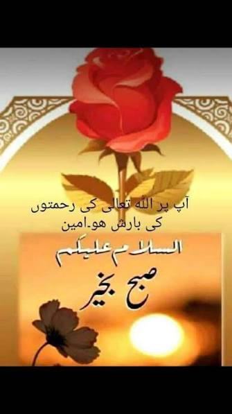 Abid hussain چدھڑ tweet media