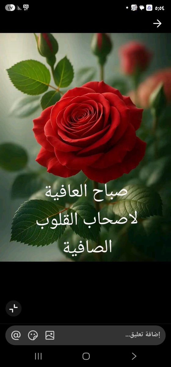 حسين العيش المالكي tweet media