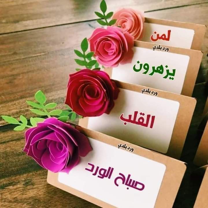 Abomalak tweet media