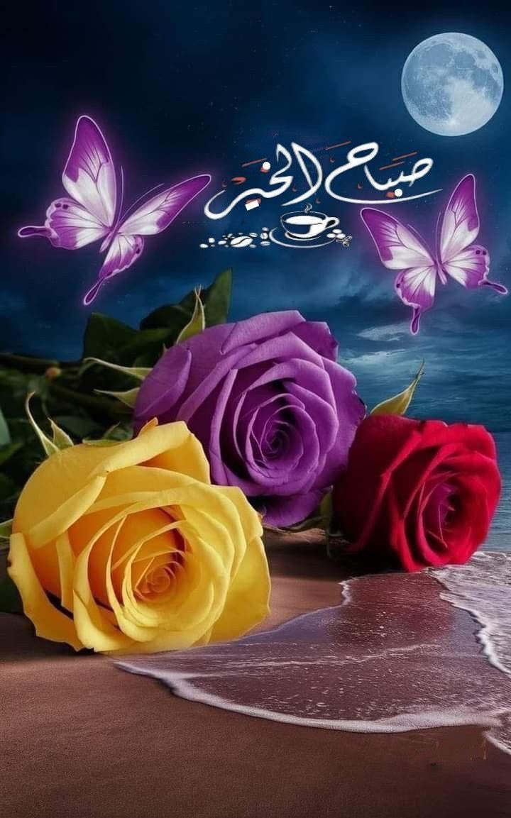 🦋🕊️❤️🇰🇼كويتاويه 🇰🇼 tweet media
