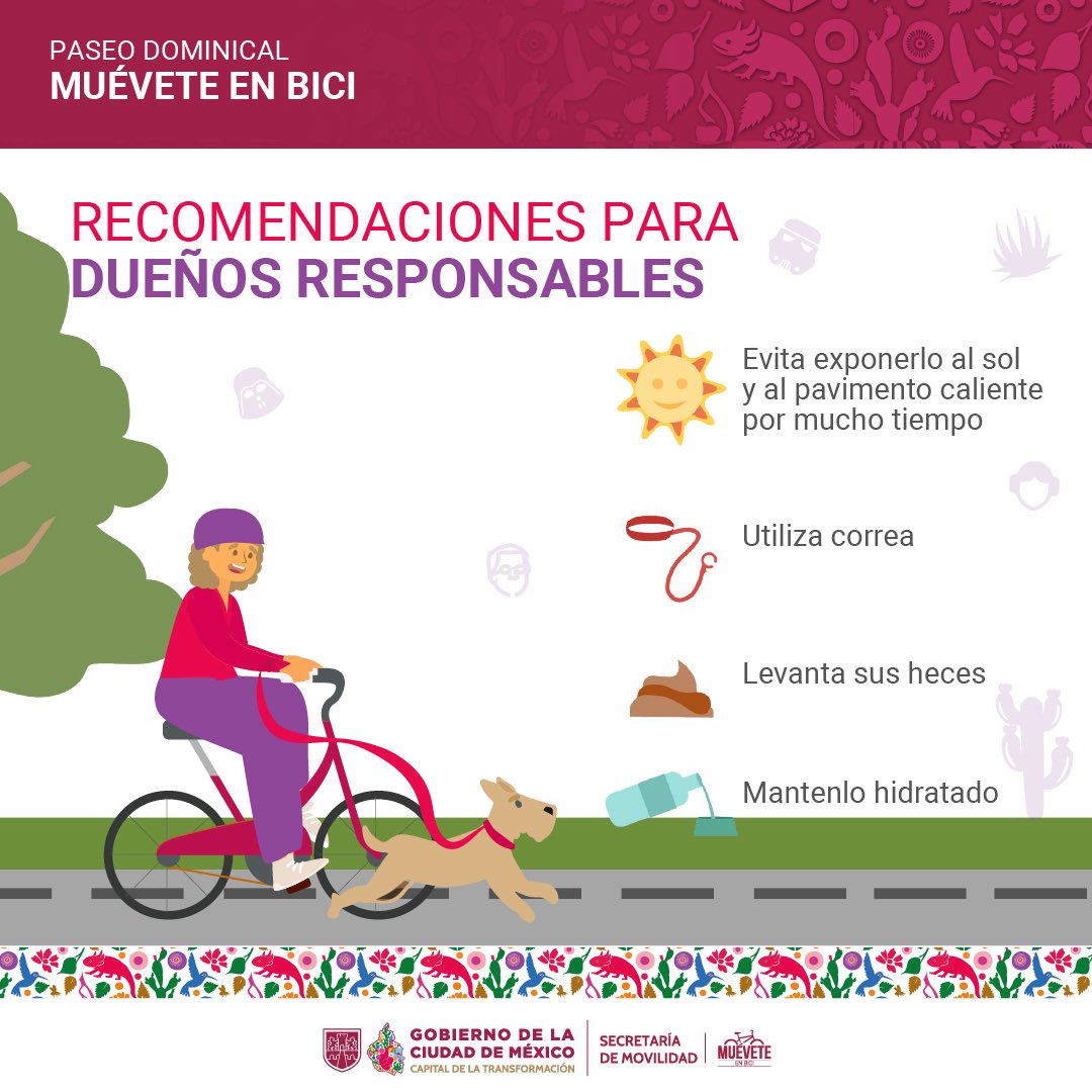 MI Bici CDMX tweet media