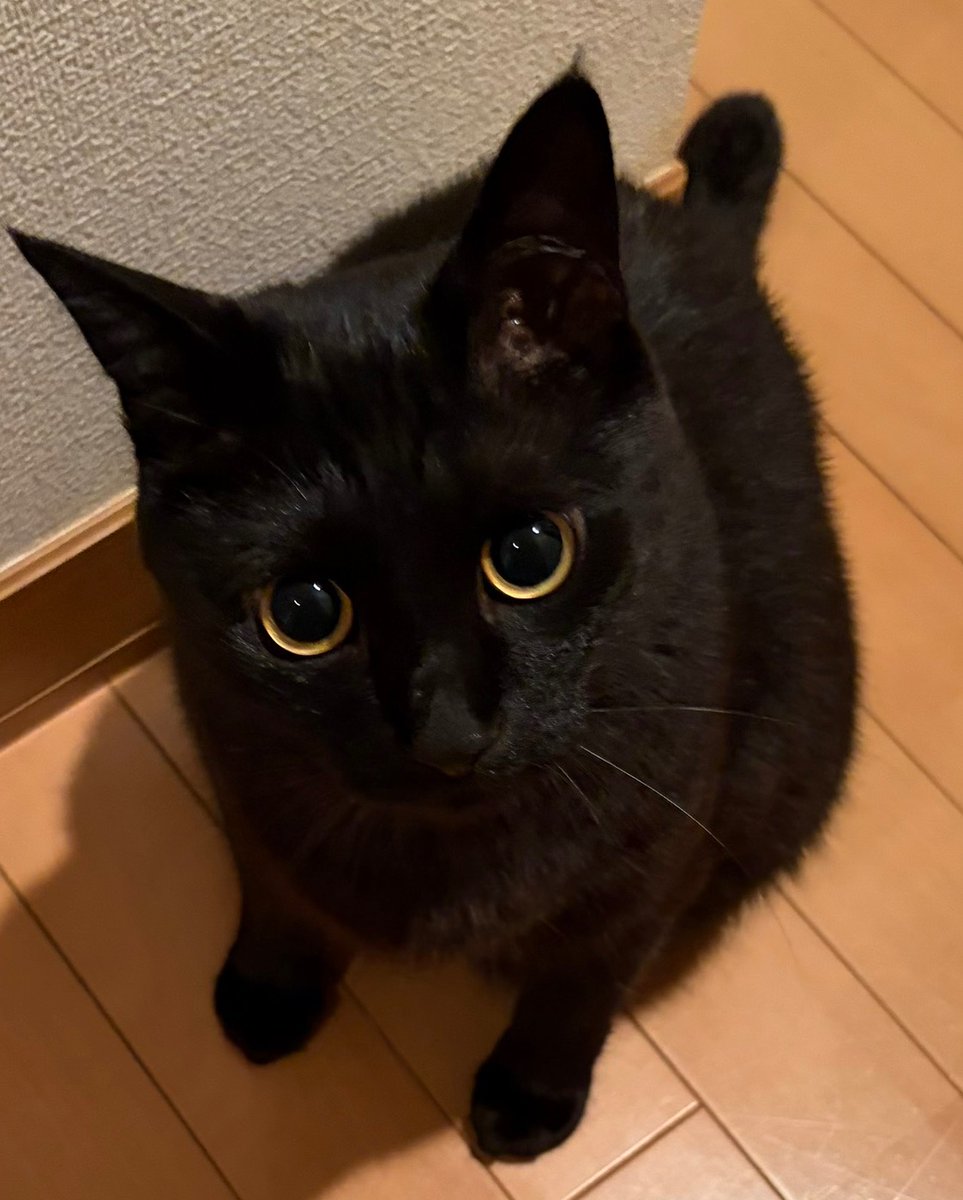 うに3才 tweet media