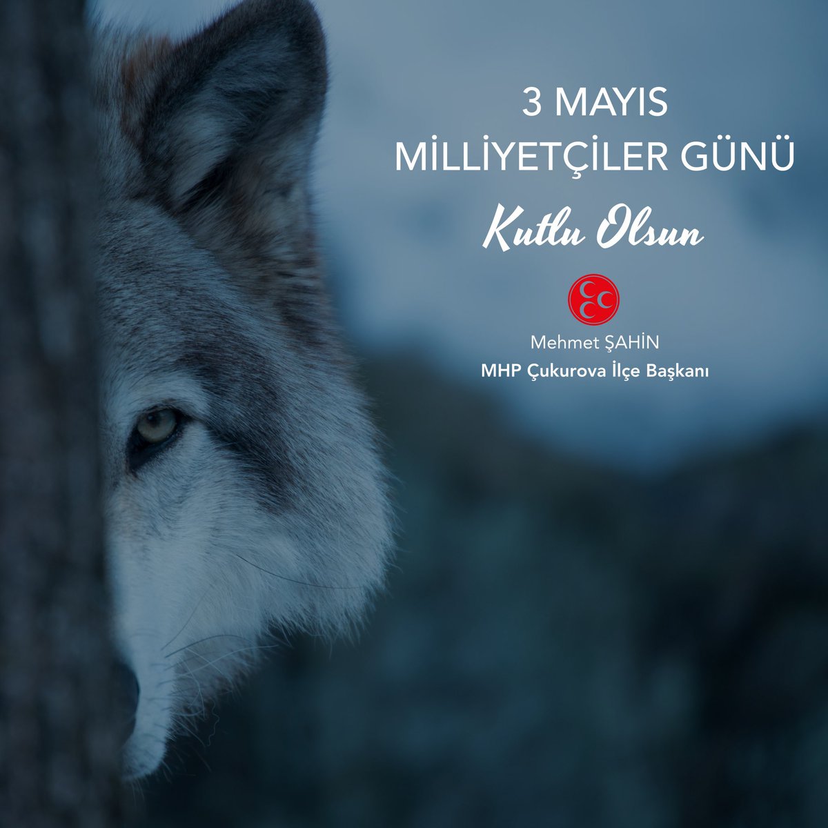 MHP Çukurova İlçe Başkanlığı tweet media