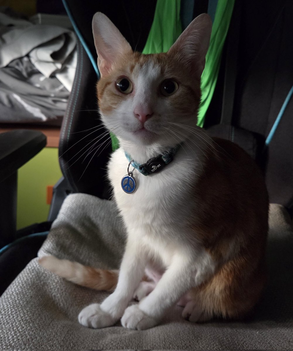 Catión 🫵🏻