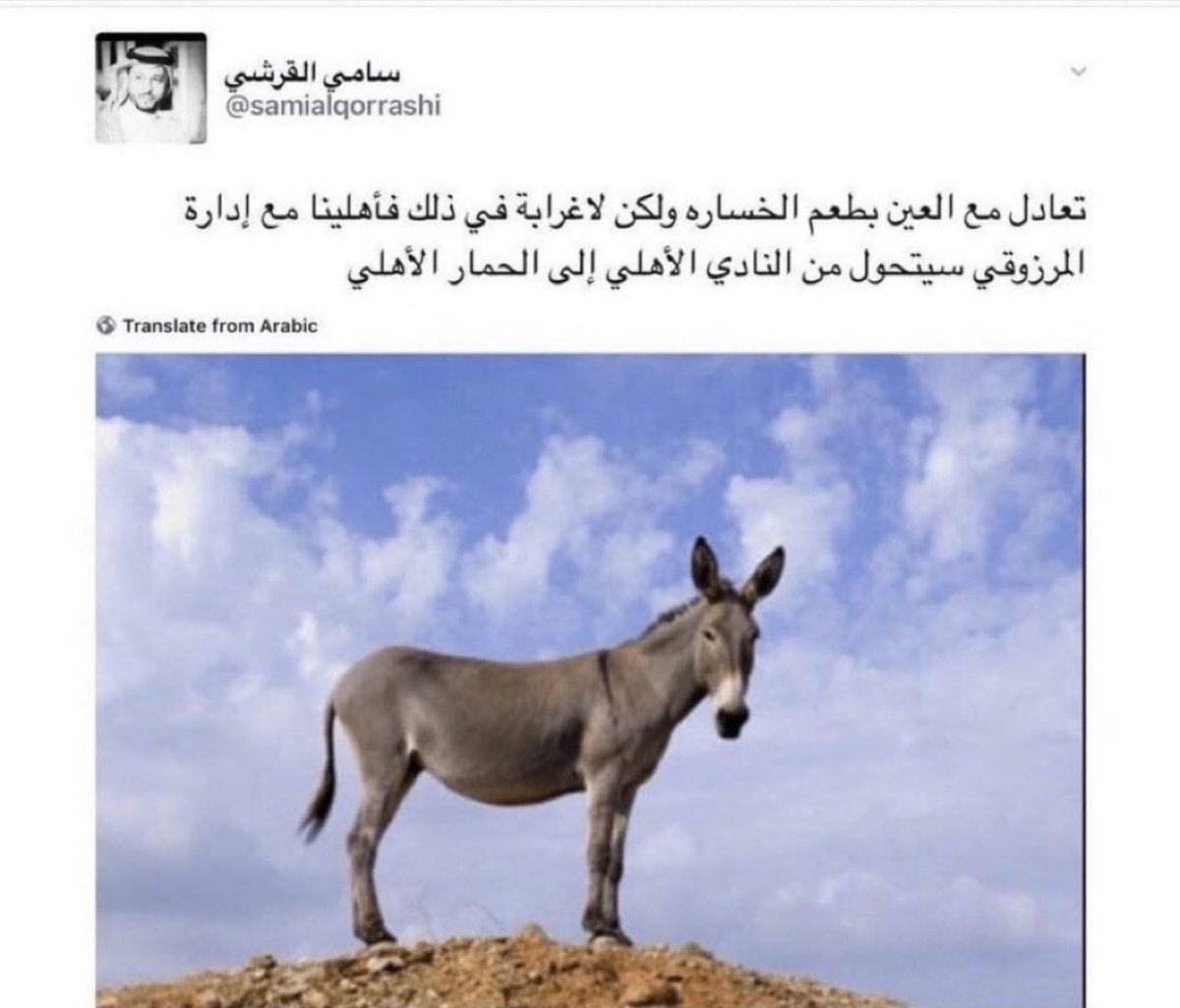 بن نُصير 💛💛 بو صالح tweet media