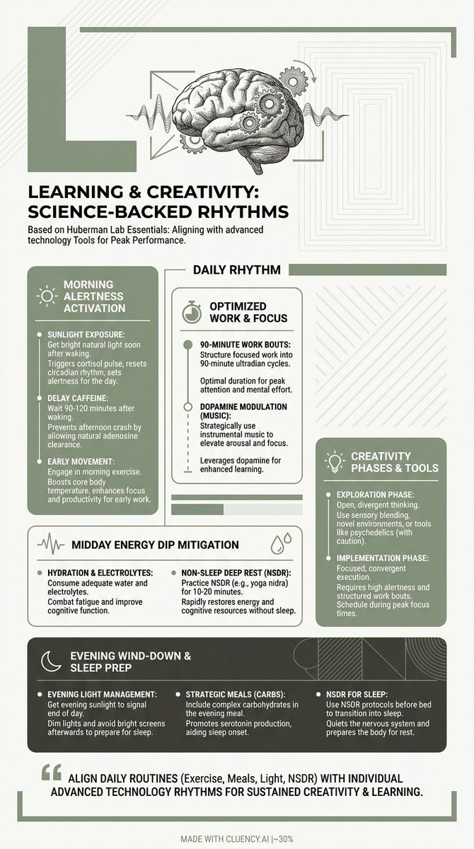 cluencyai's tweet image. .@hubermanlab says early morning sunlight exposure is key for alertness. Delay caffeine, hydrate, then get to work! Made with @cluencyai

#neuroscience #learning #productivity