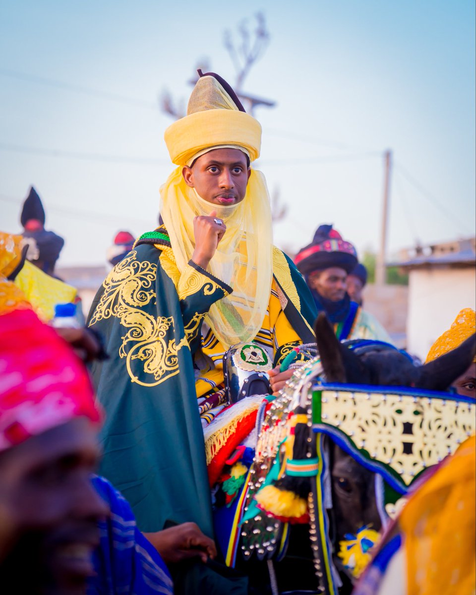 Royal elegance in motion—tradition, honor, and pride of Katsina on full display. ✨🐎