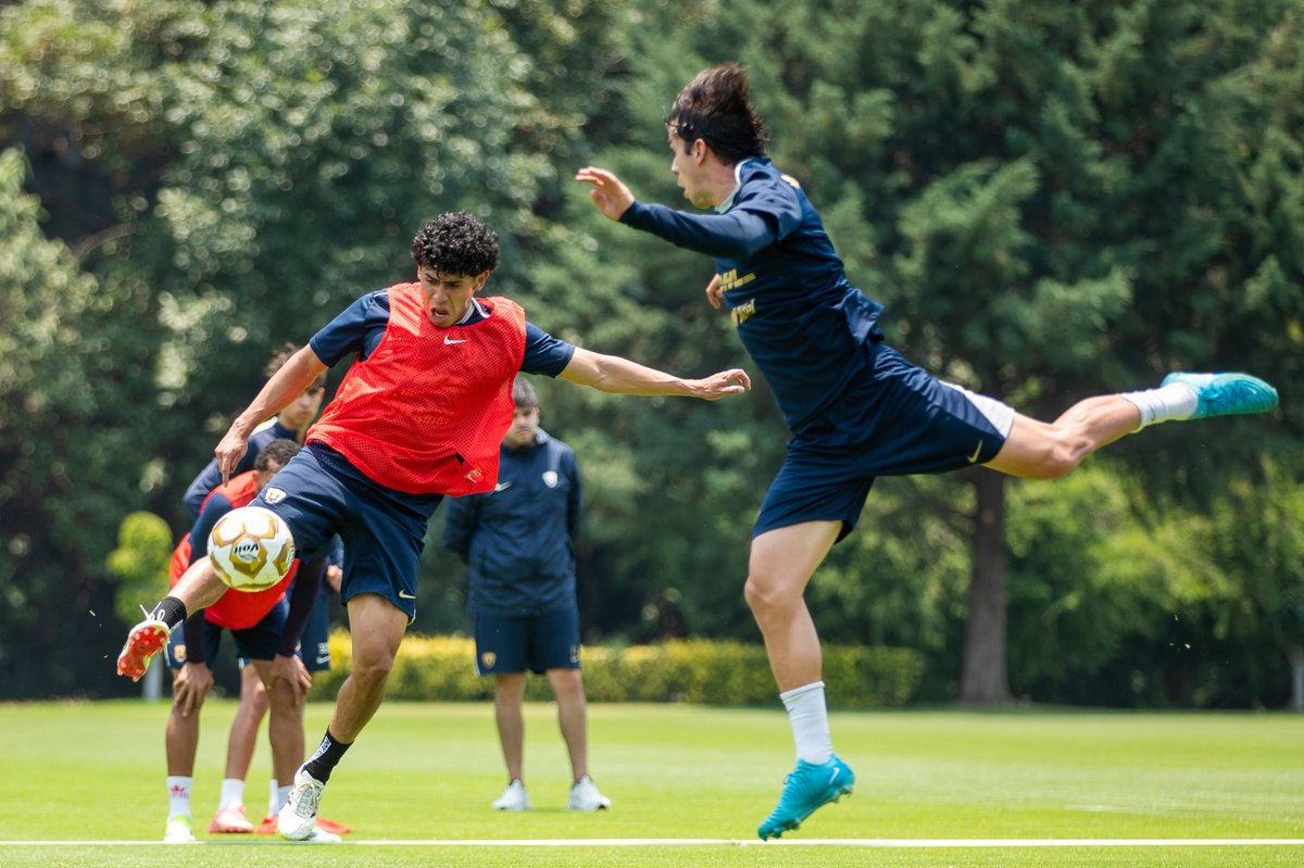 PUMAS tweet media