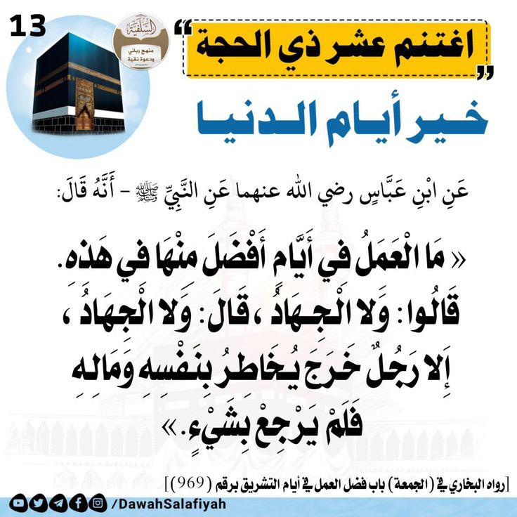 حصه عبدالعزيز tweet media