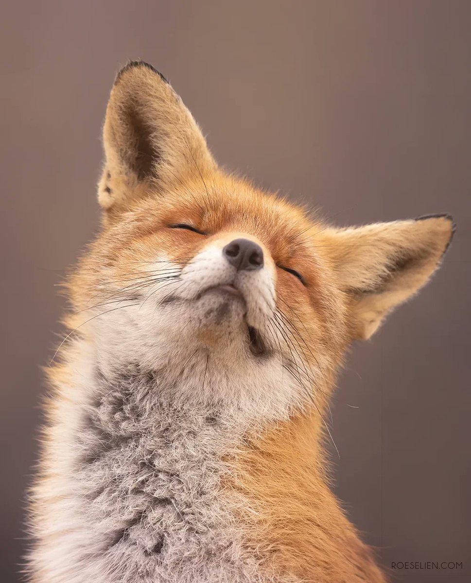 Give A Shit About Nature tweet media
