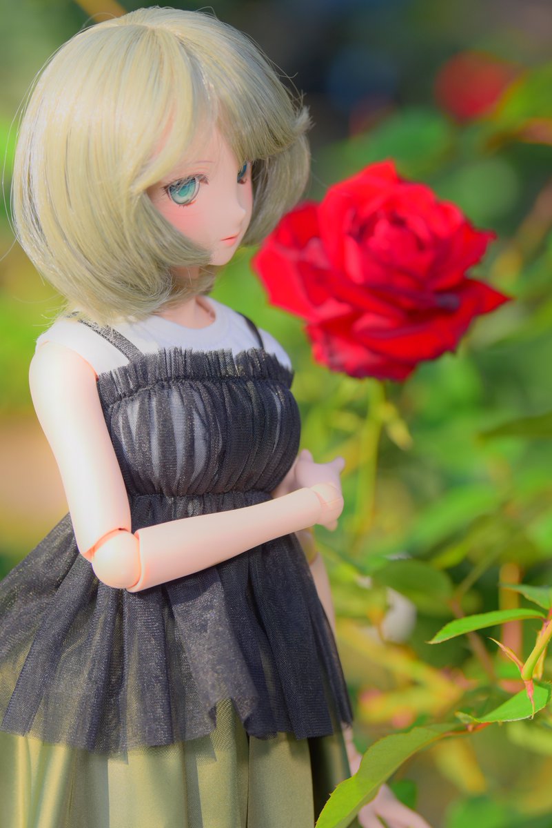 ニャーニャ・キャットタワー　メロンさんに委託してますm(_ _)m tweet media