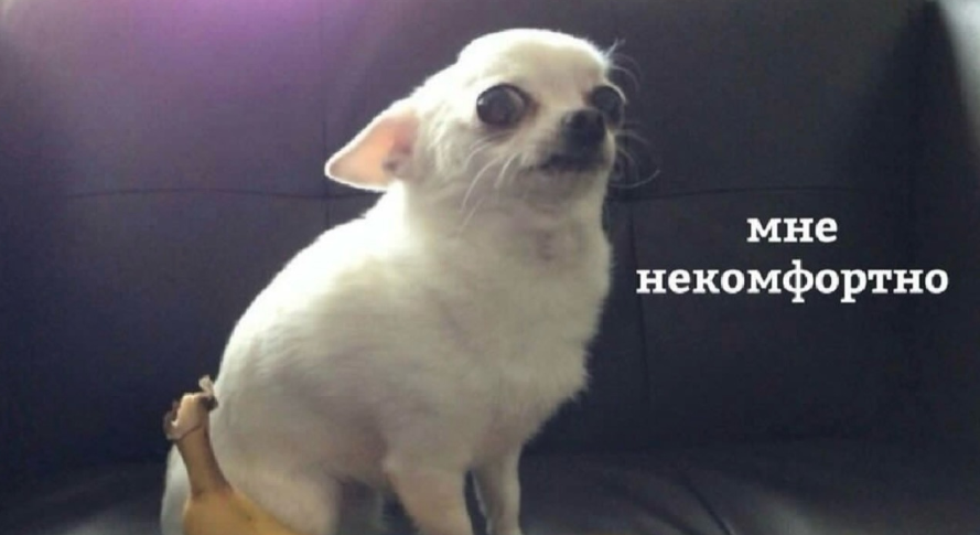 Илья, он же Elias tweet media